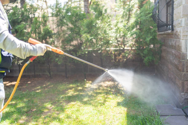 Lawn Pest Control in Leesport, PA